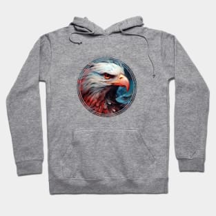 An American Eagle Hoodie